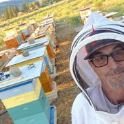 2beebeesbro