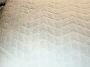 sweetgirl4everr2 Best chaturbate fisting recording show March-6-2025