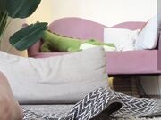 flexi_pixie Recording video show May-2025