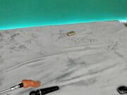 missjasminee Deep anal drilling with pale slut June 1 2025