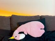 Chaturbate cloud_on_you Recording naked show August-2025