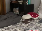 hardcore996628 New fuck couple video show at chaturbate October-2025