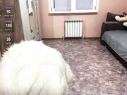 jettaboan 2025-11-25 Stream video with a skinny brunette girl