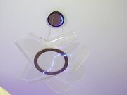 milabunny_ Stream recording with a blonde slut January-2026