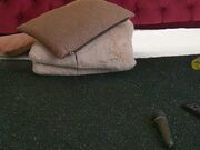 roxanne_joy Public masturbation recording video show at chaturbate 2026-01-11