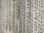 lusypickme chaturbate slim redhead kitty in online show january-2026