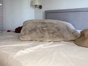 french_riv1era Chaturbate leaked dildo masturbation with a juicy whore March-2026