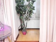 Chaturbate regeniaertelt  New curly blonde shows her tits April-2026