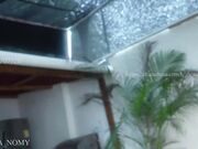 shena_nomy 2026-07-03 pussy masturbation with a tiny girl