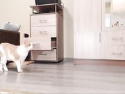 _Xxxtentacion_Amar_Masturbation in the online chaturbat room_720p