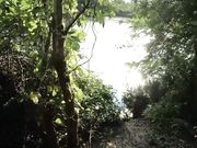 leolulu - Sex and Blowjob in the Malaysian Jungle