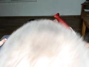 yourdreamcometruee  MFC beauty makes throat blowjob in live show