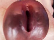 longmint96 Gigantischer Schwanz Webcam Shemale