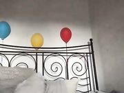 welovebabystar March online chaturbate show