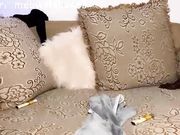 yuanlili aka b_meow Live cam chat with wet pussy masturbation part 2