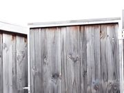 livecleo Pov blowjob show cosplay cleopatra