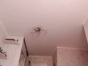 sasha_copelandxxx feb-15 squirt fingering show