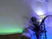 naughtyrider69 drilling cam show with busty milf