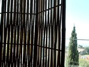 lovequine dildo fuck vids part-2