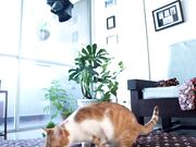 maria_alfonsina Spy cam with pale teengirl