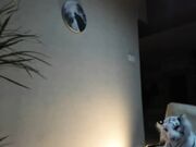 Sofiaandwonderland 08-26-22 PROMO CHATURBATE FINGERING SHOW