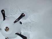 evan_holiday Couple teen suck show on chaturbate