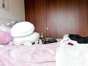 gabrielaa_18 July 24 Newest clit fingering with sexy model