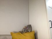 angel_from_sky November-02-2023 Chaturbate top babe masturbates ass hole