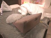 maramartinez - January-29-2024 Free couple hot porn vids at chaturbate