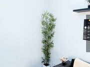 chilly_little_wind - Spy rec show with newest teen kitty 11-3-2024