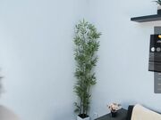 chilly_little_wind - Spy rec show with newest teen kitty 11-3-2024