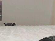 cute_shine - Naked slut shows her hole