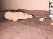 cuddles_me - Anal fun with Asian whore