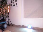 lau__1 Free dildo masturbation with slutty big ass girl April-2024