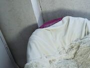 thereeds May-24-2024 Latest rec show at chaturbate