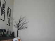 bilingual_seagull Stripchat July-2024 New shaved pussy in online