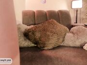 power_ranger_pink - Spy dildo masturbation with very sexy cam model