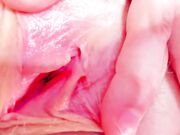 el1s_evans Close-up of an excited clitoris