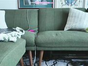 officiallilmissg - Chaturbate recording free dildo show November-1-2024