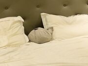 arina_13 (Chaturbate porn) Couple free sex video show