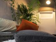 Chaturbate webcam recording show with tasty_tomato  12-17-2024