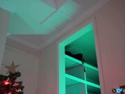 chloewildd Chaturbate fake tits top slut December-25-2024