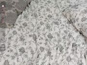 falinegelling Webcam kitty babe at chaturbate 29-12-2024