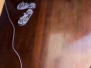 elena_rosss January-12-2025 Chaturbate couple free fuck video chat show